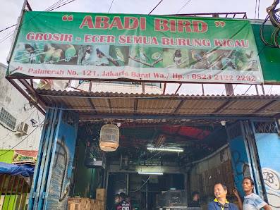 Abadi Bird