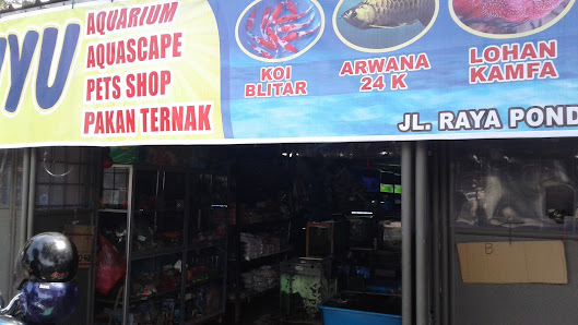Abiyu 3 aquarium and pets shop