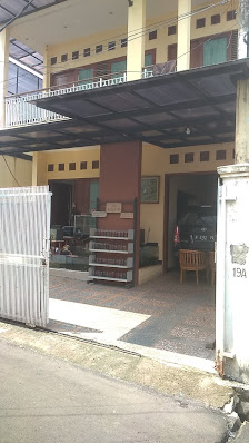 ADAM HANACHI AQUARIUM