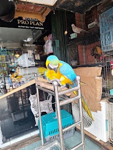 Aep Pet Shop