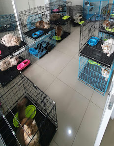 Akasia Pet Care Praktek Dokter Hewan