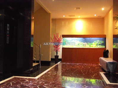 Akvodecor - Pakar Aquascape dan Aquarium Air Laut