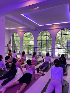 Alder Wellness Studio