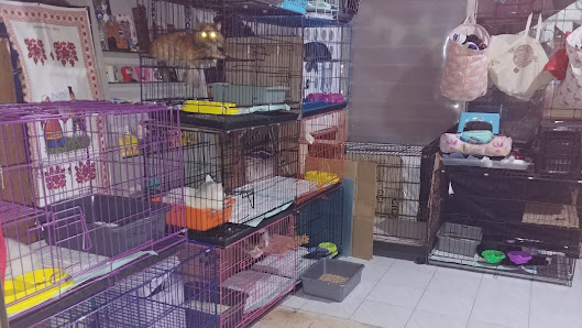 AM Cat House
