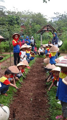 Ancol Learning Farm (Bertani)
