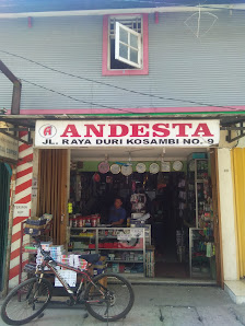 Andesta Photo Copy