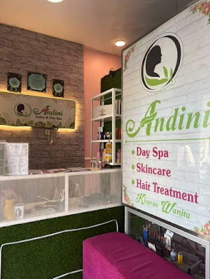 Andini Salon And Spa (Cabang Ketintang)