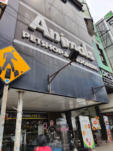Animals petshop & grooming kelapa gading