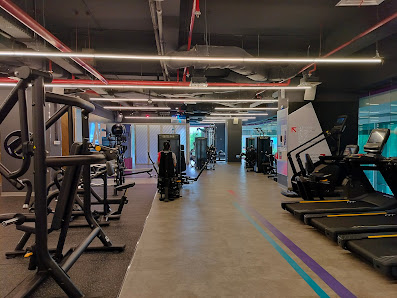 Anytime Fitness Bella Terra