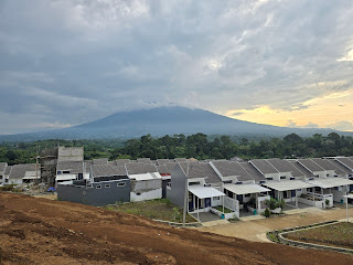 Aurora View