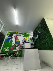 AVES JAKARTA