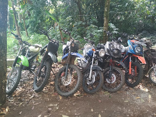 B'COM Motor Sport ( BMS )