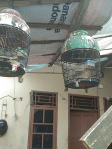 BALAKASADUT SF