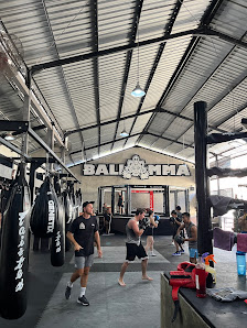 Bali MMA