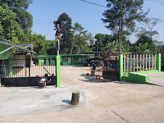 bang toyib