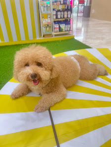 Bark N Bubbles Pet Grooming Salon