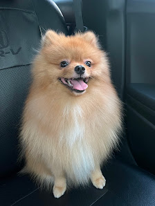 Barking Well