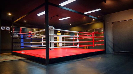 BEAT UP CAMP SENAYAN