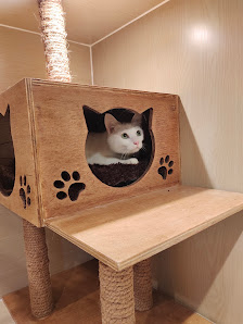 BENBEN PETCARE (Pet Hotel & Grooming)