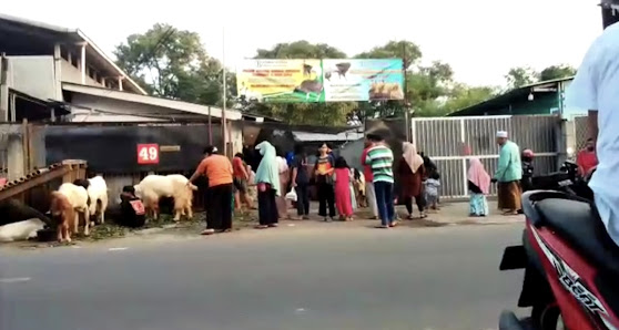 Berkah Qurban