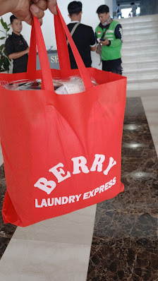 Berry Laundry Express