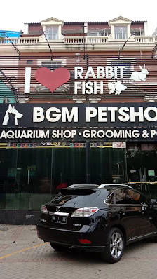 BGM Pet Shop