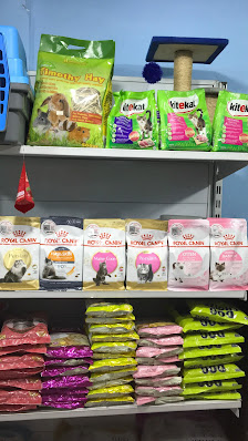 Bintang petshop