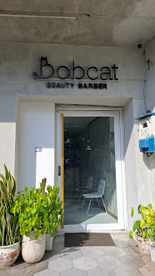 BOBCAT BEAUTY BAR