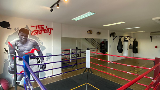 Boxeo - Box2punch