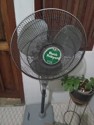 Boy Dinamo Service