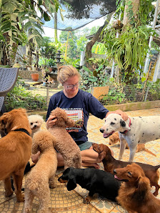 Brosterian Dog Hotel, Kennel & Cafe