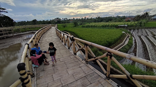 BTS (Bubulak Tepi Sawah) Wisata Keluarga Bogor Terlengkap