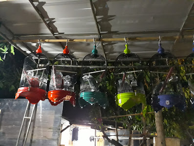 Canada Birdshop