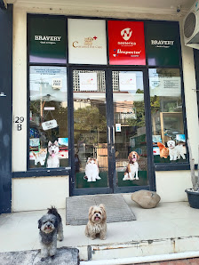 Caramel Pet Care