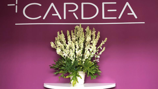 Cardea Gandaria