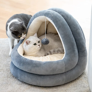 Cat&Cat