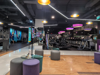 Celebrity Fitness