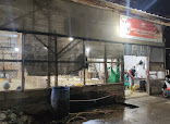 CEMERLANG BROILER