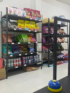 Cicing Pet Shop