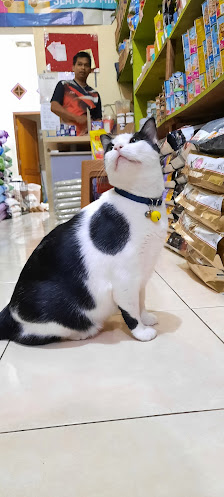 CIKAL PETSHOP