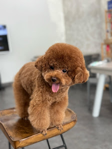 Cola Pet Club