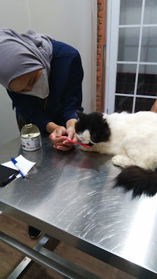 D'Animaux Vet & Clinic