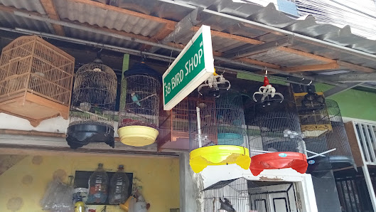 D38 bird Shop