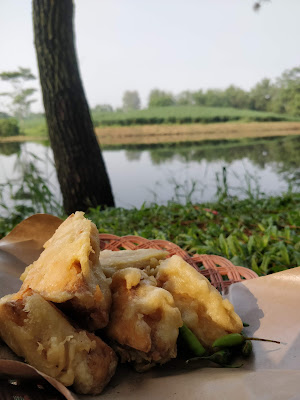 Danau Bilabong pinus