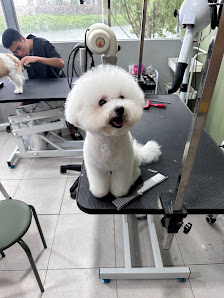 Dani Giovanni Grooming