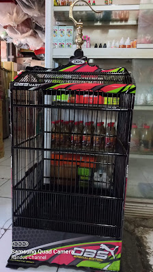 DBS MART Pusat