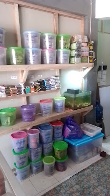Detail Petshop