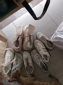 DHAMAR LAUNDRY QQ