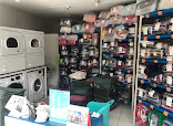 Dhiya Laundry