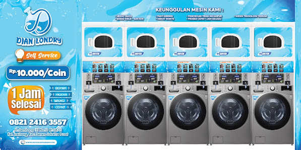 Dian Loundry koin